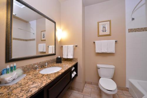 uma casa de banho com um lavatório, um WC e um espelho. em Holiday Inn Express Hotel & Suites Wichita Falls, an IHG Hotel em Wichita Falls