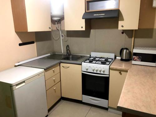 a small kitchen with a stove and a sink at GIL Apartments, Lermontova 1a, centre in Uzhhorod