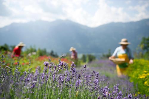 a group of people in a field with flowers at Naturhotel Landhof Irschen in Irschen