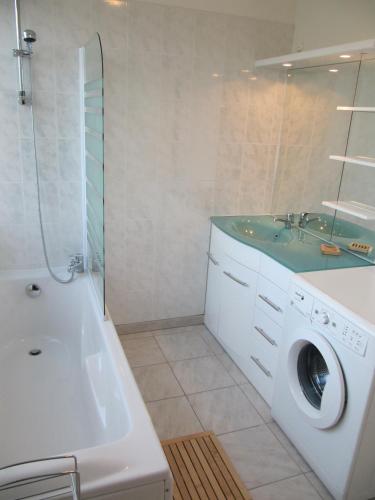 une salle de bain avec une machine à laver et un lavabo dans l'établissement SANDRE, FISH AND GITES, à Lanzac