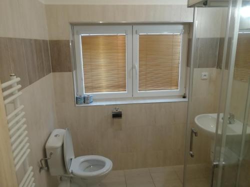 a bathroom with a toilet and a sink and a window at Penzion Zátiší in Komorní Lhotka