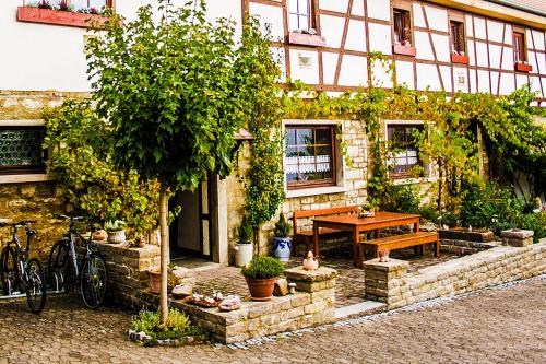 Zahrada ubytování Brunnenhof Randersacker - das kleine Hotel