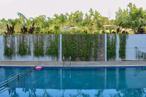 Swimming pool sa o malapit sa Jungle Valley Agriculture Resort