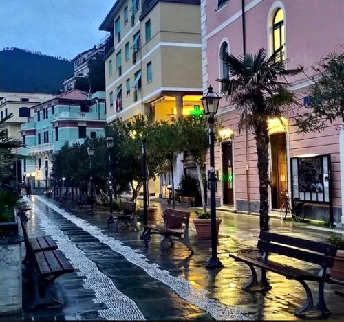 eine Stadtstraße mit Bänken und Gebäuden im Regen in der Unterkunft Affittacamere Alle 5 Terre in Monterosso al Mare