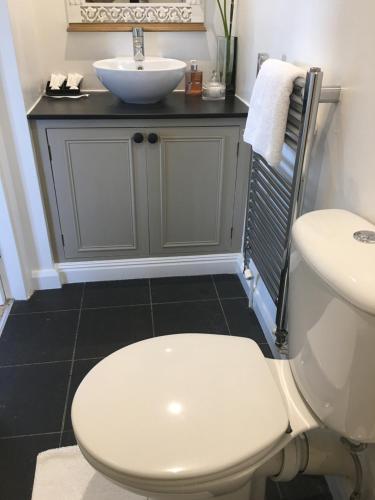 a bathroom with a toilet and a sink at High Grassings Country House in Ambleside