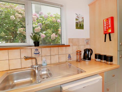 un bancone della cucina con lavandino e finestra di Fairview a Salcombe