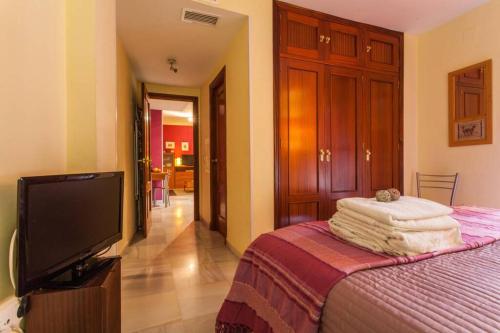 a bedroom with a bed and a flat screen tv at IMPECABLE APARTAMENTO EN TRIANA - SAN JACINTO in Seville