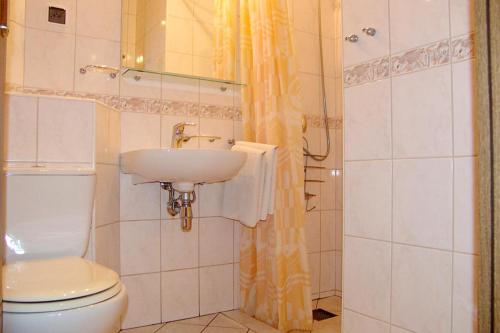 ヤストシェンビャ・グラにあるHotel Europaのバスルーム(白いトイレ、シンク付)