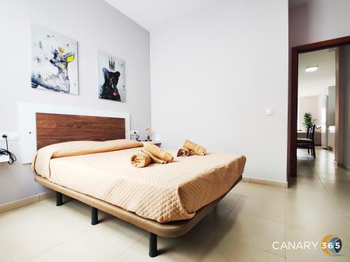 1 dormitorio con 1 cama grande en una habitación en Intimate and Stilysh Apt, PKG, Self Entry by Canary365, en Tenoya
