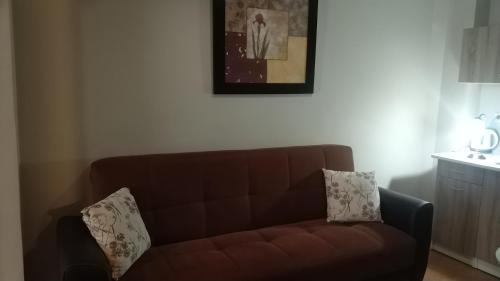 a brown couch sitting in a living room with two pillows at Ambrosia Suites in Athens