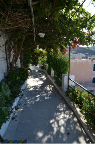 Gallery image of Maridea - Camere con vista al Porto in Ponza