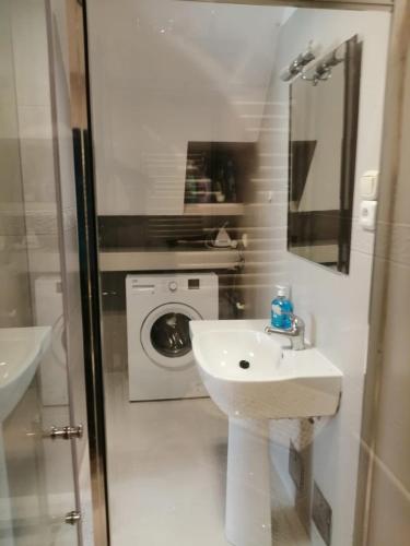 Un baño con lavabo y lavadora. en Chata Leona, en Gorlice