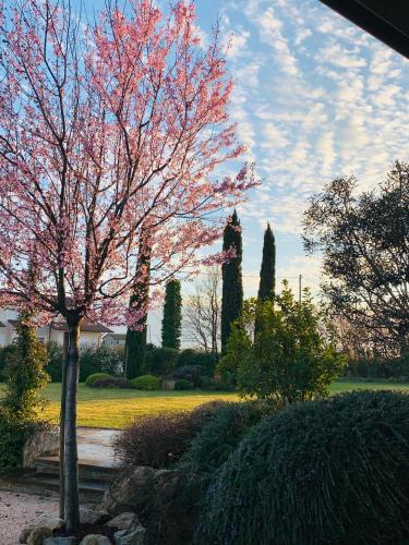 a tree with pink flowers on it in a garden at B&B Beauty House in Cesena