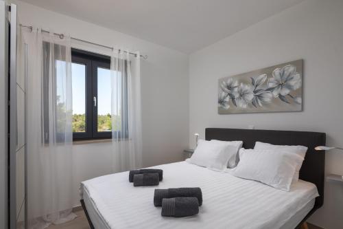 Villa Nadija with heated pool