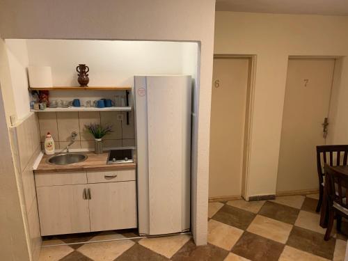 a kitchen with a refrigerator and a sink at Viktor Rooms in Kotor