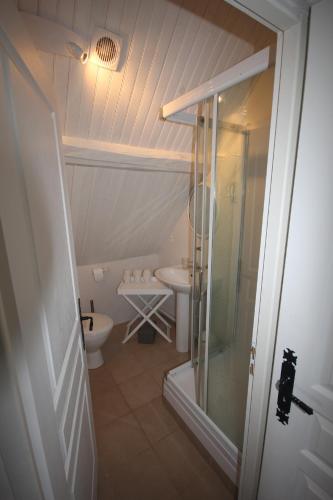 a bathroom with a shower and a toilet and a sink at L'Etable du Domaine des Buissonnets in Écardenville-sur-Eure