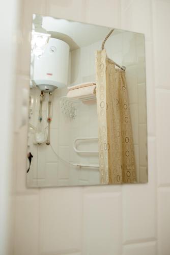 a mirror in a bathroom with a shower curtain at Apartments at Kontorska 10 in Kharkiv