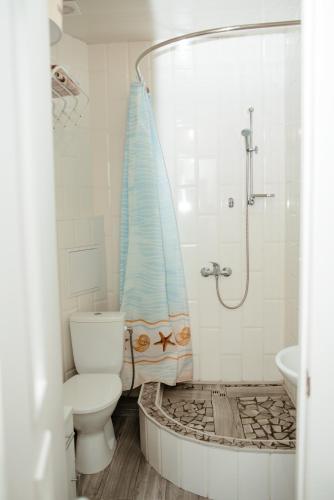 a bathroom with a toilet and a shower with a shower curtain at Apartments at Kontorska 10 in Kharkiv