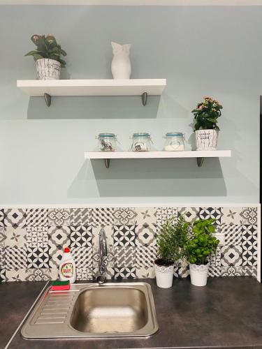 a kitchen sink with potted plants on the wall at Apartament Bankowa in Jelenia Góra