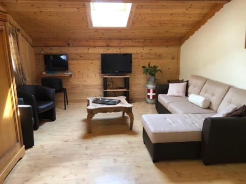 un salon avec un canapé et une télévision dans l'établissement Le chalet de Bernoline vaste appartement tout confort, à Beaufort