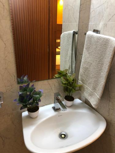 a bathroom sink with two potted plants on it at HOTEL SPARK RESIDENCY in Chennai