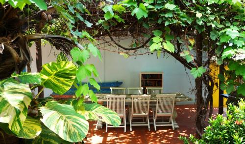 a patio with a table and chairs under a tree at Pauline's Apartments in Palm-Eagle Beach