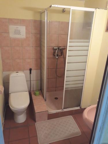 uma casa de banho com um chuveiro, um WC e um lavatório. em Chambres D'hôtes AISSA em Saint-Denis