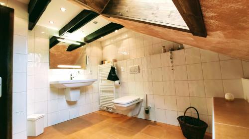 a bathroom with a toilet and a sink at Xenos Apartments in Willingen