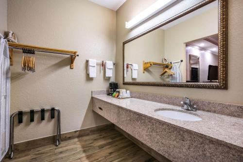 Bilik mandi di Econo Lodge Inn & Suites Horn Lake - Southhaven