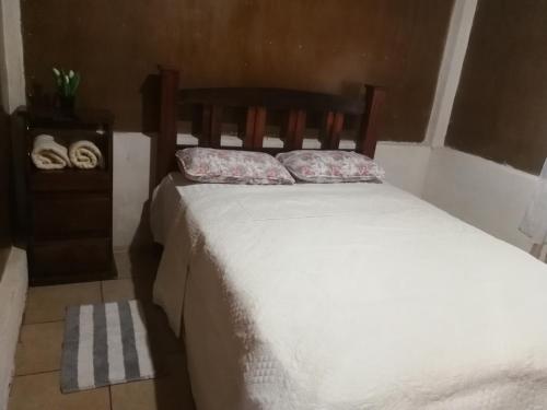 a bed with two pillows on it in a bedroom at Bijagua paradise Río Celeste in Bijagua
