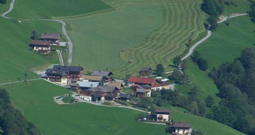 a group of houses on a green hill with a farm at Gästehaus Hagenhofer in Dorfgastein
