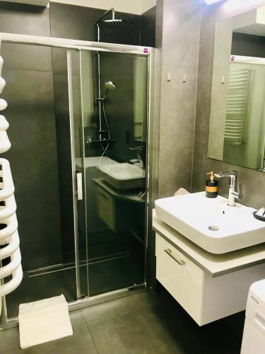 a bathroom with a shower and a sink at Apartamenty Teatralne in Gorzów Wielkopolski