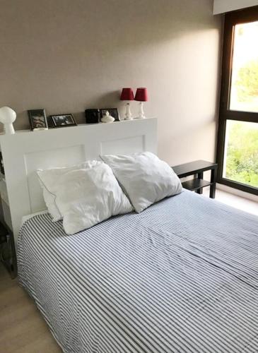 Photo de la galerie de l'établissement Réf 541,Seignosse Océan, Appartement 3 pièces, proche de la plage et des commerces, 4 personnes, à Seignosse