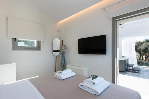 Televízia a/alebo spoločenská miestnosť v ubytovaní Villa Costele with Private Sandy Beach