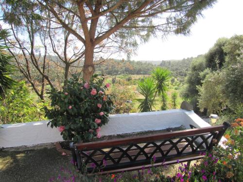 a bench in a garden with a tree and flowers at My House - Casa Charme in Monchique
