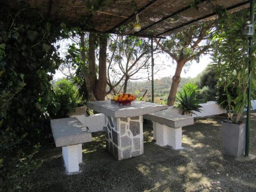 stół piknikowy z miską owoców w obiekcie My House - Casa Charme w mieście Monchique