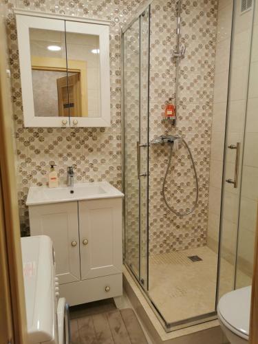 a bathroom with a shower and a sink at Central Apartments Nojus in Druskininkai