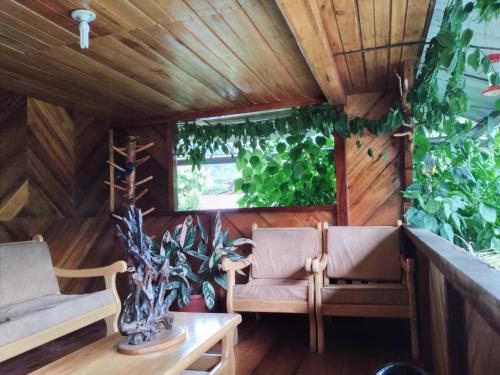 Gambar di galeri bagi Hostal El Eden de Mindo di Mindo