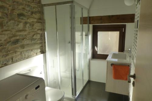 ein Badezimmer mit Dusche, Toilette und Waschbecken in der Unterkunft La Solana de Jaca- Casa La Sierra in Novés