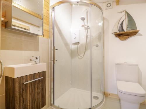 a bathroom with a shower and a toilet and a sink at Someplace Else in Diss