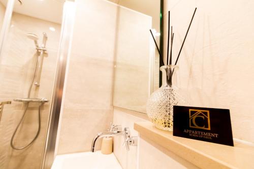 a bathroom with a vase on a shelf next to a shower at Appartement Schin op Geul in Schin op Geul