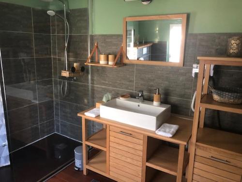 a bathroom with a sink and a shower at Habitation Baliache - Maison créole avec jardin privatif, plage à 200m in Deshaies