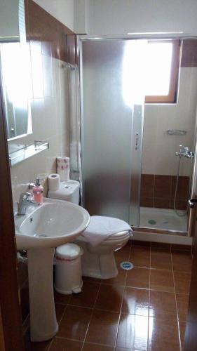 a bathroom with a sink and a toilet and a shower at Hotel Orama in Kryonérion