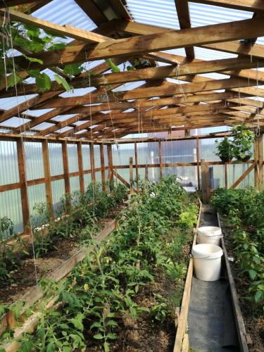 a greenhouse filled with lots of plants at Villa River Rose in Jõesuu