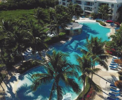an aerial view of a swimming pool with palm trees at LIC Mgr - MODERN 4 BED 4 BATH VILLA - UPSCALE OCEANFRONT RESORT - INDOOR PICKLEBALL - SPEAKEASY! in Key Largo
