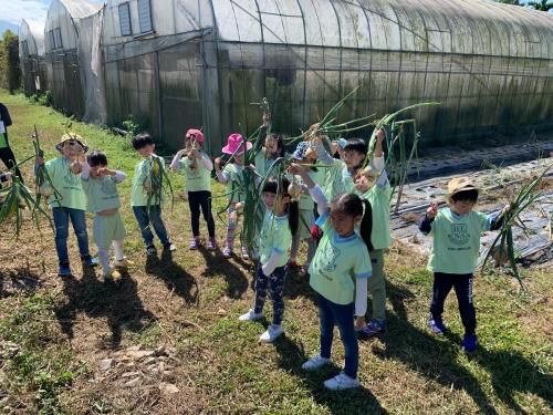 a group of children standing around a tree in a field at Hakka Eco-farm 雅歌園民宿食農教育有機農場 in Wanluan
