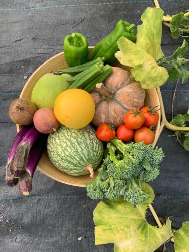 a basket of fruits and vegetables on a table at Hakka Eco-farm 雅歌園民宿食農教育有機農場 in Wanluan