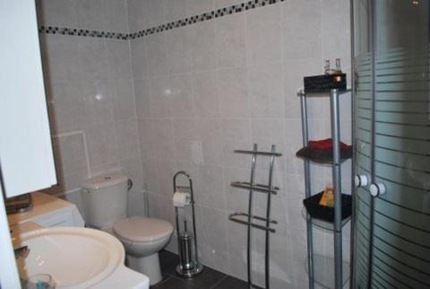 uma casa de banho com um WC, um lavatório e um chuveiro em Chez Alfred et Régine em Rouffach