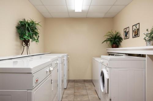 a laundry room with white cabinets and potted plants at Candlewood Suites La Crosse by IHG in La Crosse