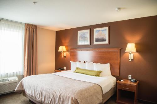 Habitación de hotel con cama grande y ventana en Candlewood Suites Loveland, an IHG Hotel en Loveland